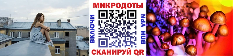 Купить  Королёв  Галлюциногенные грибы мицелий 