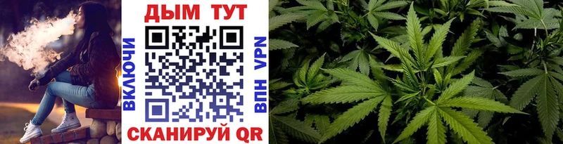 Канабис семена  Купить закладки  Королёв 